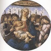 Sandro Botticelli Madonna and Child with eight Angels or Raczinskj Tondo (mk36) Spain oil painting artist